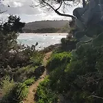 Il Nido Di Castagno *