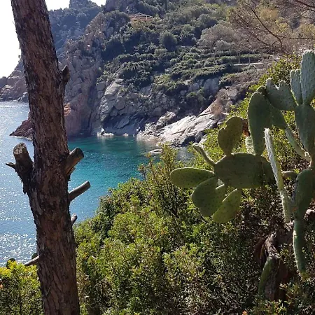 Il Nido Di Castagno