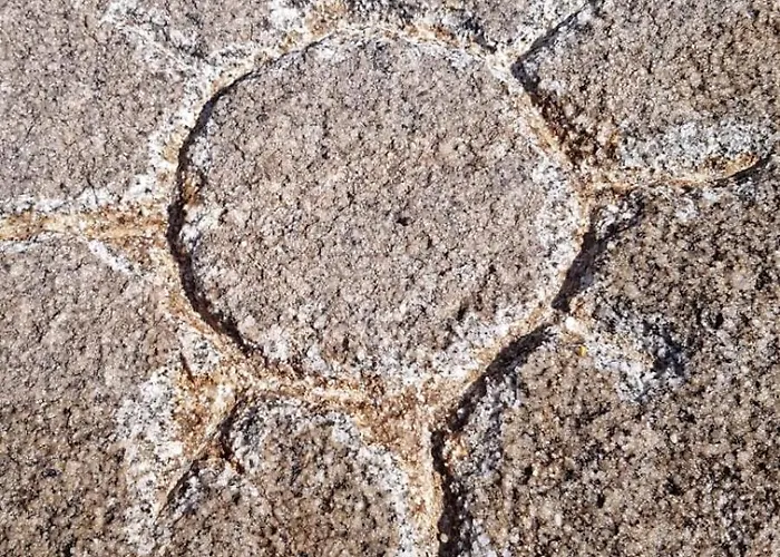 Il Nido Di Castagno Apartman Tortolì